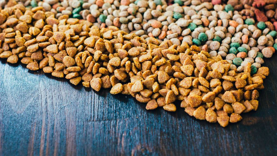 Nutrición Animal